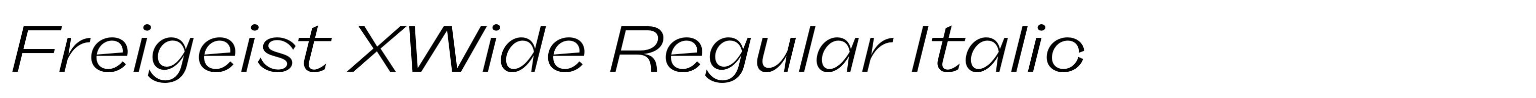 Freigeist XWide Regular Italic